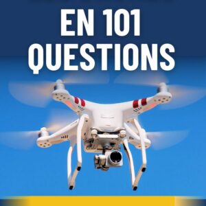Revue de la litterature. Guide Pratique avec Exemples Commentés - Livre PDF