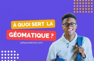 A quoi sert la géomatique - Sylla Académie