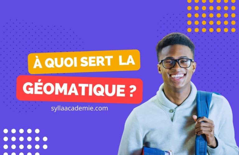 A quoi sert la géomatique - Sylla Académie