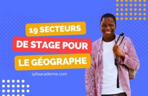 Opportunités de Stage en Géographie : 19 Secteurs Clés pour les Étudiants